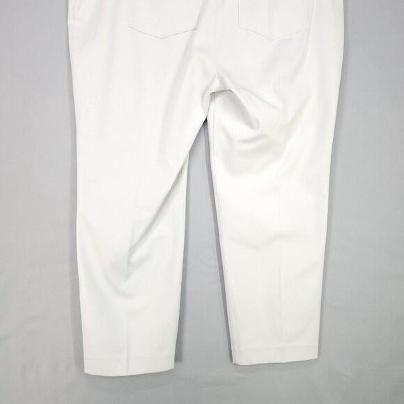 Spanx Ankle Straight Pants Plus Size 2X Silver Lining On The Go Body Shaping - Picture 15 of 16